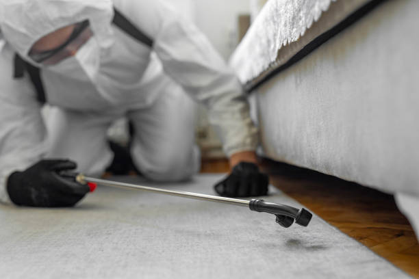 Professional Bed Bug Control technician working in Richmond, IN