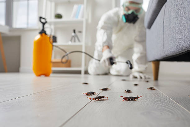 Trusted Cockroach Control service in Richmond, IN - Nex Pest Control